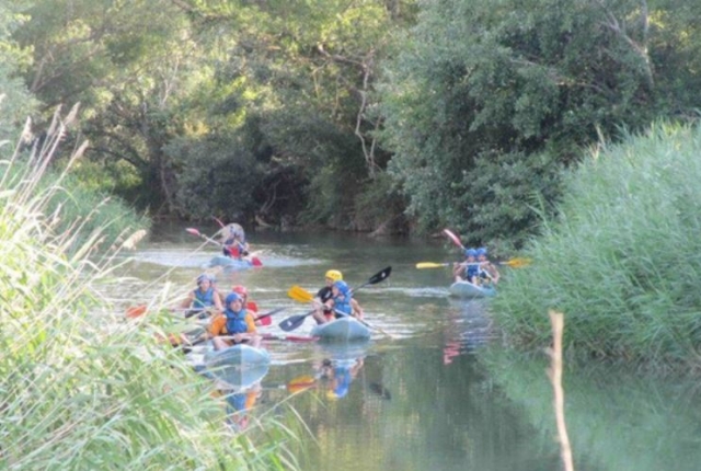  Le sientes como si estuvieras en la selva 
